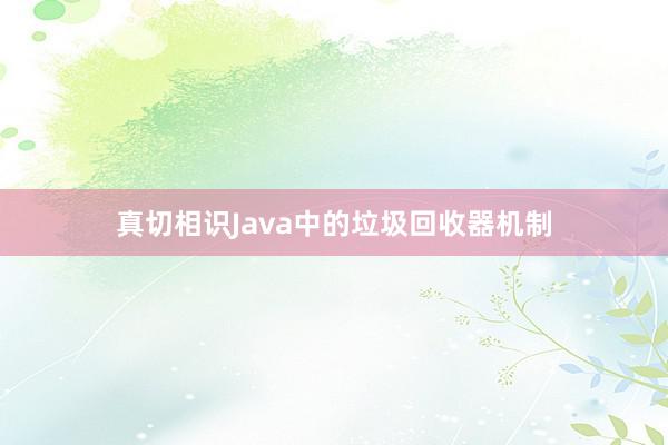 真切相识Java中的垃圾回收器机制
